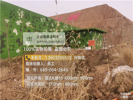 烟台星空迷彩墙施工队