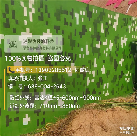烟台星空迷彩漆，夏令营训练,数码迷彩作训墙,围墙
